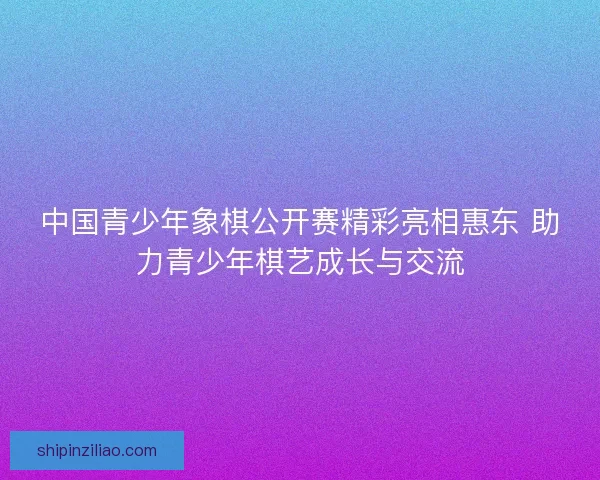 中国青少年象棋公开赛精彩亮相惠东 助力青少年棋艺成长与交流