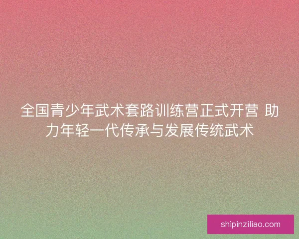 全国青少年武术套路训练营正式开营 助力年轻一代传承与发展传统武术